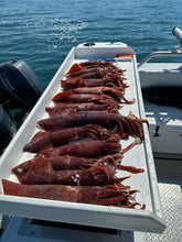 Winged Squid Jig Pink 15 OZ